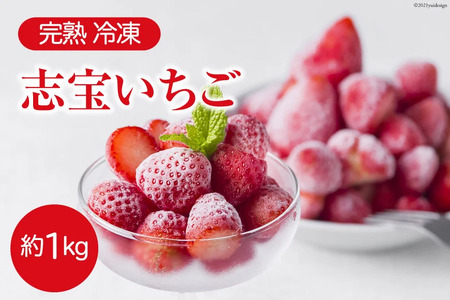 完熟 冷凍 志宝いちご 約1kg [モアショップヤマモト 石川県 宝達志水町 38600602]