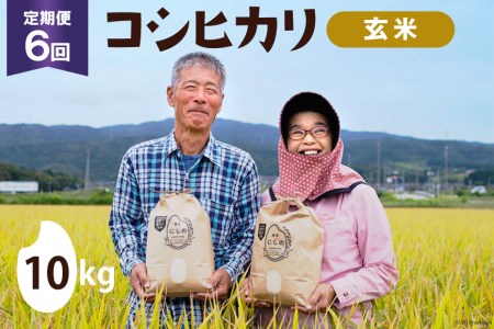 【期間限定発送】 6回 定期便 米 コシヒカリ 玄米 10kg ×1×6回 総計 60kg [農家にしの 石川県 宝達志水町 38600823] 米 お米 ご飯 ごはん こしひかり 石川 美味しい