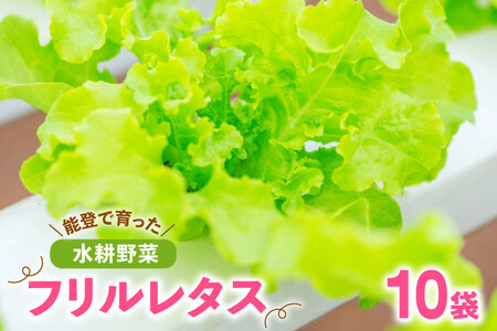 フリルレタス 10袋 セット [バイテックベジタブルファクトリー 石川県 中能登町 27ap0001] 野菜 レタス 葉物 葉物野菜 水耕栽培