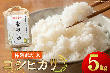 米 令和7年産 特別栽培米 コシヒカリ 5kg 精米 [ハッピーダイヤモンド 石川県 中能登町 nk17bjo780000]