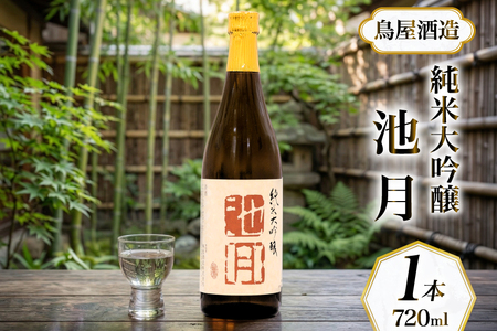 [鳥屋酒造]能登の酒を味わう! 日本酒「純米大吟醸 池月(720ml) 1本 [道の駅織姫の里なかのと 石川県 中能登町 nk17amw270061]
