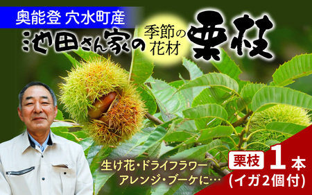 ys\zG߂̉ԍ I} 1{i35`38cmjy2025N9{ȍ~z/ \o \o t[AW u[P ԑ  ؓ   \oI I  