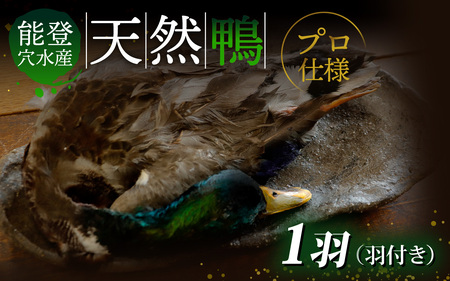 \o Y VRuviHtj1H |  VR