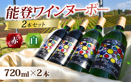 [先行予約]期間限定! 能登ワインヌーボー2本セット / わいん ワイン 赤 白 能登ワイン 奥能登 能登半島 牡蠣 かき 熟成 ぶどう ブドウ 葡萄 送料無料