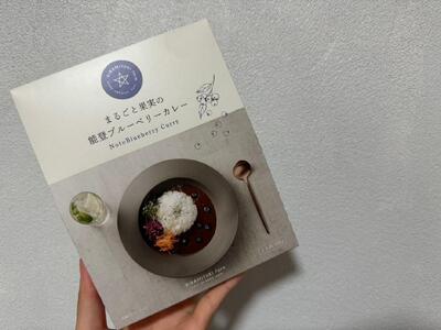 [復興支援][奥能登プレミアム]能登町ブルーベリーカレー5個