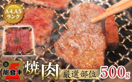 [復興支援][A4・A5]能登牛 焼肉用厳選部位 500g