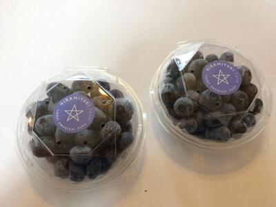 [復興支援][先行予約]生・能登ブルーベリー200gパック×2つ