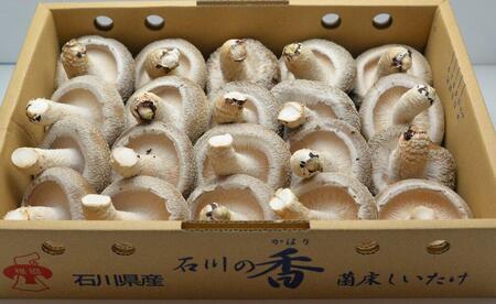 [復興支援]能登の大地と大自然が育んだプリップリ♪の「能登産しいたけ1kg」