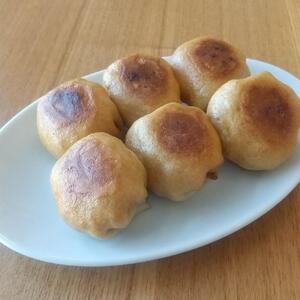 【復興支援】能登まるまる餃子　5人前【2026年1月以降 順次発送】