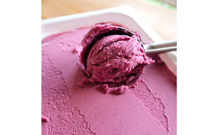 【復興支援】notono フローズンヨーグルト・ブルーベリー2リットル