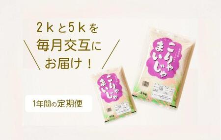 �y�����x���z�y12�����ցz����2kg��5kg�����݂�1�N�ԓ͂��I�����܂����ᐸ��(���\�o���c�n�����R�V�q�J��)