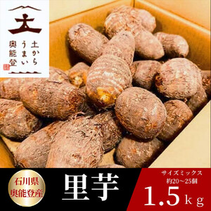 能登町産 里芋1.5kg【期間限定】