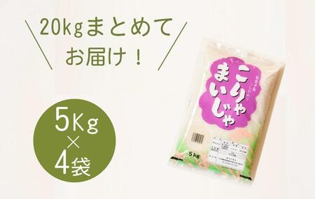 [復興支援]5kgを4袋 まとめてお届け!こりゃまいじゃ精米(奥能登柳田地区限定コシヒカリ)