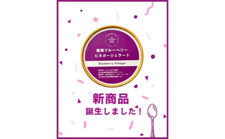 [復興支援][新商品]能登ブルーベリービネガージェラート(6個)