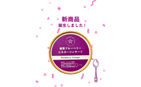 [復興支援]フローズンブルーベリー&ビネガージェラートセット