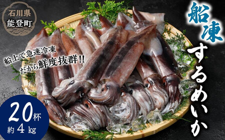 [復興支援]船凍するめいか 約4kg 20杯 ( 2杯 × 10袋 )小分け 個包装 刺し身 海産物 魚介類 獲れたて 急速冷凍 新鮮 刺身 さしみ 烏賊 人気 おすすめ ご当地グルメ カルパッチョ パスタ いかめし 煮物