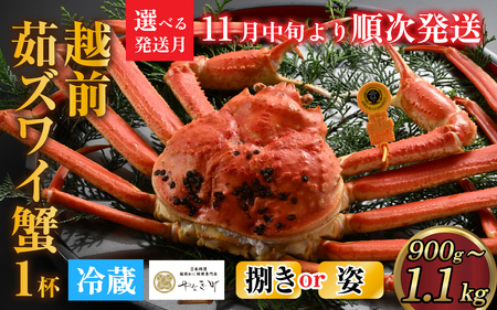 [先行予約][捌き済選択可][到着日指定可]蟹好きにおすすめ!老舗カニ専門店の「越前ずわいがに」大(900g〜1.1kg)[11月中旬より順次発送] [M-085021]