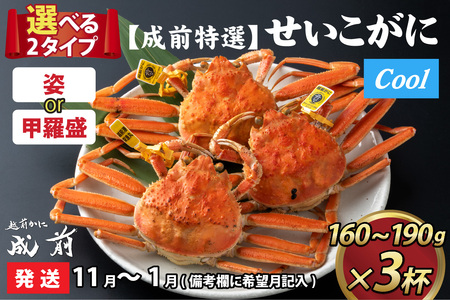 [先行予約]選べる!美味しさ直送[成前特選] せいこがに(160g〜190g)×3杯[11月〜1月発送] [C-028040]