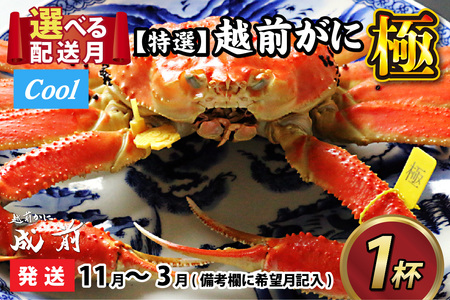 [先行予約]選べる!美味しさ直送[成前特選]越前がに [極] (1.3kg〜1.5kg)1杯[11月〜3月発送] [W-028052]