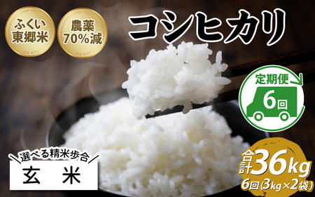 【先行予約】【定期便6ヶ月連続】【玄米】令和7年産 ふくい東郷米 特別栽培米 農薬70％減 コシヒカリ 6kg(3kg×2袋)×6ヶ月 合計36kg [H-020013_02]