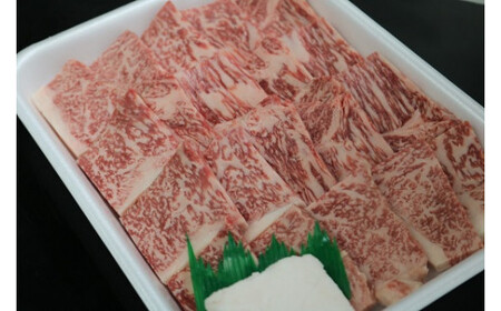 若狭牛ロース焼肉用(冷凍)500g [ 若狭牛 牛肉 肉 ブランド牛 ロース 焼肉 霜降り 冷凍 ][A-068003]