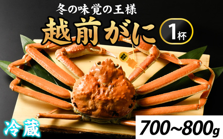 s\ys꒼z~̉ҁI䥂ŉzO700-800g@Pty11{菇ANNnΉsz [I-065039] /  I 킢 YC 䥂ł