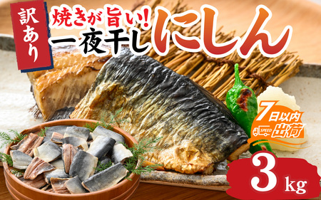 【訳あり】 焼きが旨い！ 一夜干しにしん 約3.0kg [A-155002]