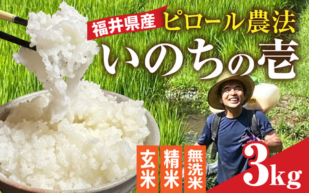 [内田農園・ピロール米]令和6年産 福井県産いのちの壱 3kg 減農薬栽培 [備考欄へ精米歩合をご記入ください] [A-168001] [重要]無洗米無く、お選びできません。[玄米]もしくは[精米]をお選びください。