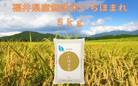 [令和6年産]福井が生んだブランド米「福井県産いちほまれ」無洗米5kg × 1袋 [無洗米 小分け 米 お米 コメ 福井県] [A-014008]