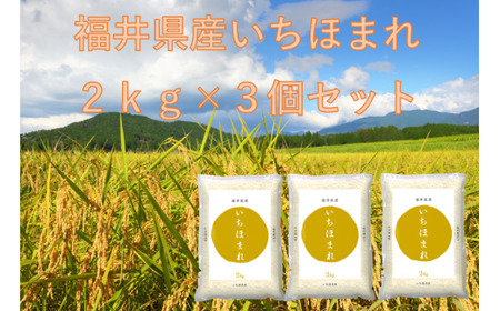 [令和6年産]福井が生んだブランド米「福井県産いちほまれ」2kg×3袋 [計6kg 米 お米 コメ 小分け 福井県] [A-014001]