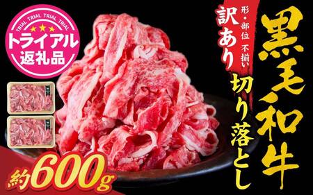 [トライアル返礼品]訳あり・不揃い 黒毛和牛 切り落とし肉 約600g [A-121005] / ギフト 肉 黒毛和牛 国産牛 肉ギフト 焼肉 母の日 プレゼント 牛肉 おせち 国産 送料無料 父の日