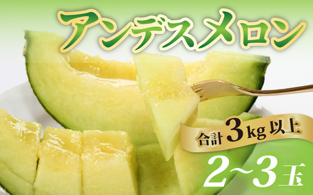 [福井市三里浜砂丘地産]立体栽培の甘味凝縮アンデスメロン「2025年6月中旬より順次発送」 [A-180001] / メロン アンデス めろん フルーツ 果肉 スイーツ 旬 福井 ふくい
