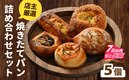 店主厳選!人気の焼きたてパンを詰め合わせた特別セット[5個][A-132001] / パン ぱん セット 詰合せ 焼きたて ベーカリー 惣菜 菓子 あんこ 食パン 定番 バケット あん食パン 餡子 アンコ 詰め合わせ 菓子パン 惣菜パン あんぱん