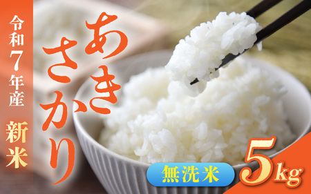 [先行予約]令和7年産新米 福井市産あきさかり 5kg[無洗米]「2025年10月初旬より順次発送」 [A-094012] / あきさかり アキサカリ 福井県産 新米 令和七年 食品 ご飯 お米 白米 ブランド米 米 コメ こめ 精米 白米 無洗米 5キロ
