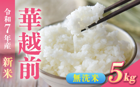 [先行予約]令和7年産新米 福井市産はなえちぜん 5kg[無洗米]「2025年8月下旬より順次発送」 [A-094013] / ハナエチゼン 華越前 花えちぜん 刈り取り時期 早生 品種 福井県産 新米 令和七年 7年 七年 ご飯 お米 白米 ブランド米 コメ こめ 精米 白米 無洗米 5キロ
