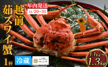 [先行予約][捌き済選択可][到着日指定可]蟹好きにおすすめ!老舗カニ専門店の「越前ずわいがに」特大サイズ(1.1kg〜1.3kg) [年内発送] [P-085029]