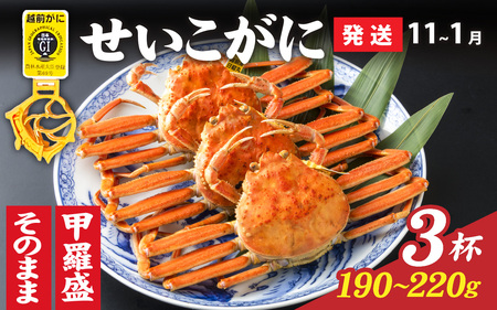 [先行予約][11月〜1月発送]選べる!美味しさ直送[成前特選] せいこがに(190g〜220g)×3杯 [E-028044] / ズワイガニ 姿 甲羅盛り 甲羅盛 越前がに かに 蟹 楚蟹 セイコ 越前かに 香箱が こうばこ 親ガニ こっぺ せこ 香箱 メス ずわいがに カニ セイコガニ 冷蔵 チルド せいこ セイコ 越前蟹 むき身