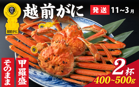 ys\zIׂIyOIz zOɁi400g`500gj×2ty11`3z [J-028047] / 䌧  IX Y YCKj {C ① zOKj zO zOJj 킢