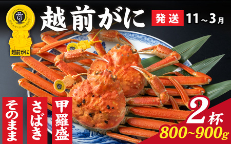 ys\zIׂIyOIz zOɁi800g`900gj×2ty11`3z [O-028049] / 䌧  IX Y YCKj {C ① zOKj zO zOJj 킢