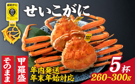 [先行予約]選べる!美味しさ直送[成前特選]せいこがに(260g〜300g)×5杯[年内発送・年末年始対応][L-028030] / 正月[年内発送 お届け] / ズワイガニ 甲羅盛り 越前がに かに 蟹 楚蟹 越前かに 香箱が こうばこ 親ガニ甲羅 香箱