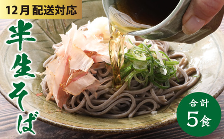 [年末特集]ヤマサ製麺 半生そば5食 (越前そば2食+永平寺そば3食) [A-120007_sp]