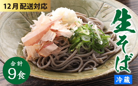 [年末特集]ヤマサ製麺 越前そば 9食 (3食袋×3) [A-120003_sp]