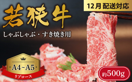 [年末特集]A4〜A5ランク 若狭牛しゃぶしゃぶ・すき焼き用(リブロース) 約500g [B-066009_sp]