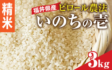 ys\zyc_Es[āzߘa7NY 䌧Ŷ̈ 3kg  _͔| y10{z [A-168001_02] / 3kg 