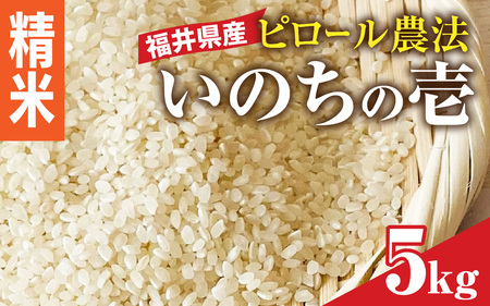 ys\zyc_Es[āzߘa7NY 䌧Ŷ̈ 5kg  _͔| y10{z [A-168002_02] / 5kg 