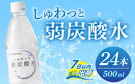しゅわっと弱炭酸水 [A-030026] / 炭酸 炭酸水 水 微炭酸 24本 1ケース 500ml ペットボトル 飲料水 みず 北陸 飲料 無糖 軟水 ダイエット 福井県 福井市 ウォーター ローヤルさわやか