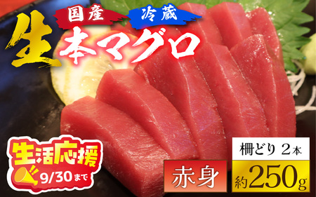 [冷蔵・指定日着可]生活応援 生本マグロ赤身 約250g 2〜3人前 [A-066003_pr] | まぐろ