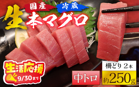 [冷蔵・指定日着可]生本マグロ中トロ 約250g 2〜3人前 [A-066005_pr] / 生活応援 国産 まぐろ 鮪 さく 柵どり 冷蔵 真空パック ヘルシー 2人前 3人前 新鮮 刺身 丼