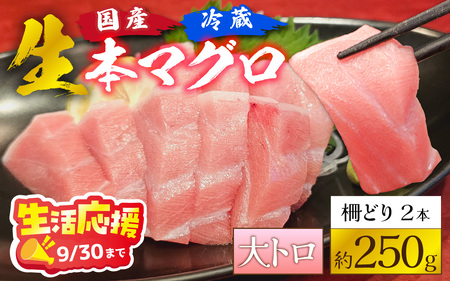 [冷蔵・指定日着可]生本マグロ大トロ 約250g 2〜3人前 [A-066007_pr] / 生活応援 国産 まぐろ 鮪 さく 柵どり 冷蔵 真空パック ヘルシー 2人前 3人前 新鮮 刺身 丼