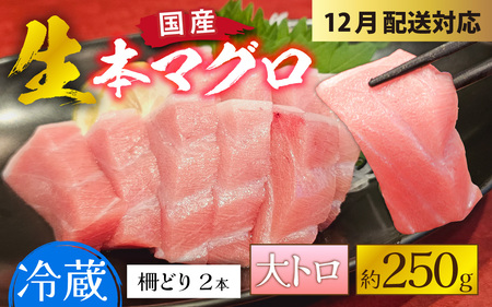 y①Ewz{}Og 250g 2`3lO [A-066007] / Y ܂   ǂ ① ^pbN wV[ 2lO 3lO VN hg 